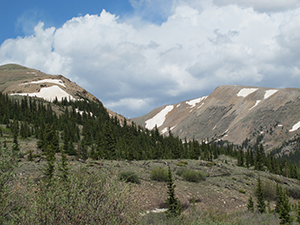 Mosquito Range